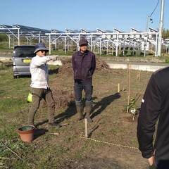 自然農法　無農薬家庭菜園を一緒にはじめませんか - 甲斐市