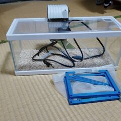 水槽　繁殖セット