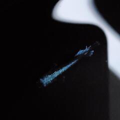 値下げしました‼️超高級めだか‼️「幻想」(げんそう)1ペア🐟の画像