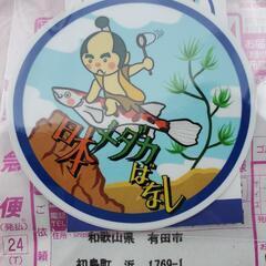 値下げしました‼️超高級めだか‼️「幻想」(げんそう)1ペア🐟の画像