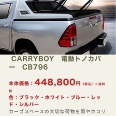 CARRY BOY製電動トノカバー キャリーボーイ ハイラックス GUN125の画像