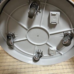 bonbebeの画像