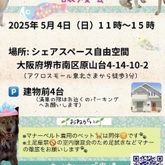 保護犬の譲渡会をします！