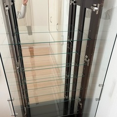 コレクションケースの画像