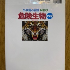本 まとめ売り あやとり のりもの 危険生物 恐竜の画像