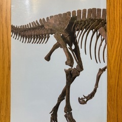 本 まとめ売り あやとり のりもの 危険生物 恐竜の画像