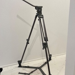 Libec ビデオ三脚 LS-22DV