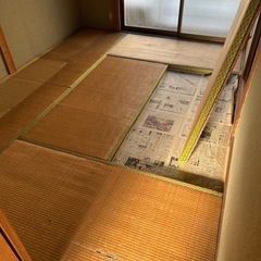畳の画像