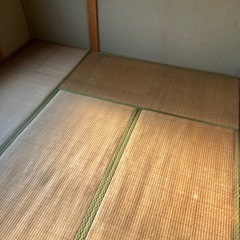 畳の画像