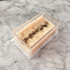 石けん作りレッスン 2025 vol.01 薫-kaoru-の画像