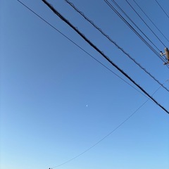 気軽に参加OK！一緒に街をきれいにする仲間を募集しています！