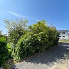 4/30(水)8:00〜12:00鳥取市　湖山　伐採•草刈り後の...
