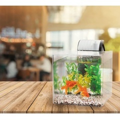 【新品】Tetra 金魚飼育セットの画像