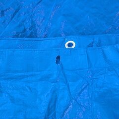 レジャーシート（青）の画像