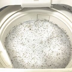 ■洗濯槽  ■黒カビ ★有料にて分解掃除致します