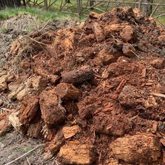 丸太の朽ちたもの😅の画像