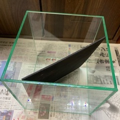 【美品】20cmキューブ水槽①