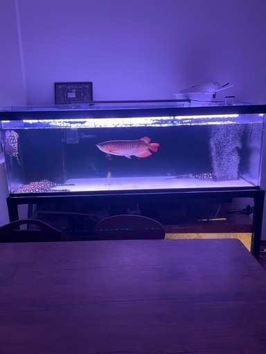 180アクリル水槽