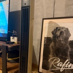 ホット&クールファンの画像