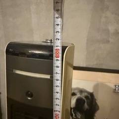 ホット&クールファンの画像