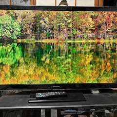 Panasonic VIERA　TH-L42E5