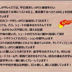 ミニバス🏀メンバー大募集🤩の画像