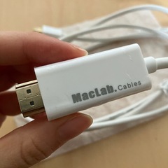 サンダーボルト　HDMI コネクタの画像