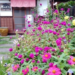 knit cafe かぎ針で縁編みワークショップ - イベント