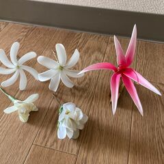ヘアピック　ティアレ 5個
