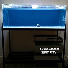 アクリル水槽120cm&台&LED&ハイブローc-8000
