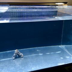 【再値下げ】アクリル水槽120cm&台&LED&ハイブローc-8000の画像