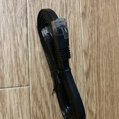 LANケーブル　黒の画像