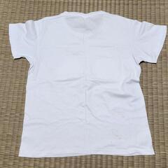 【  無料  】  からめる・Tシャツの画像