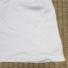 【  無料  】  からめる・Tシャツの画像