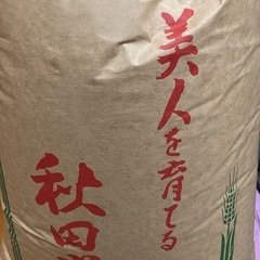 あきたこまち　玄米　30K