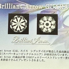 Brilliant Arrow 花形ピアスの画像