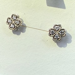 Brilliant Arrow 花形ピアスの画像