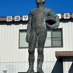 筑波サーキットをレーシングカーで走りませんか？ - 友達