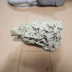 ライブロック　デスロック