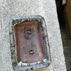 ミニ盆栽鉢の画像