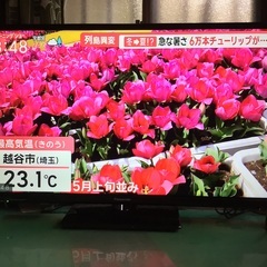 【お取引先が決まりましたので終了】Panasonic テレビ