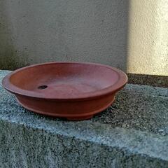 小さめ盆栽鉢