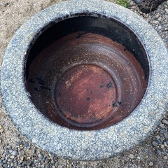火鉢　メダカの画像