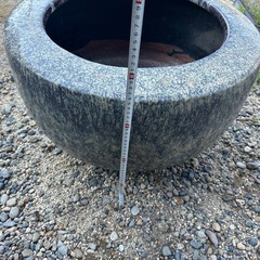 火鉢　メダカの画像