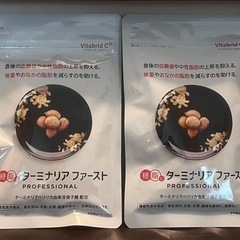 ターミナリアファースト120粒×2袋