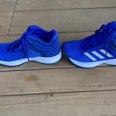 バスケットシューズ adidas 22cmの画像