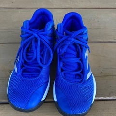 バスケットシューズ adidas 22cm