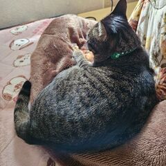 友達つくり。