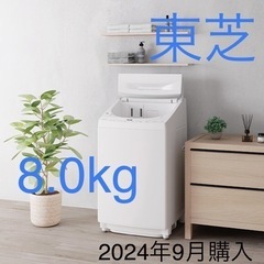 京都市中京区　短期間使用　東芝 8.0kg 自動投入