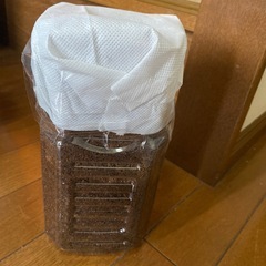 【5/10受付中止中】残り6匹🩷写真更新🆙【お届け可能】カブトムシの幼虫の画像